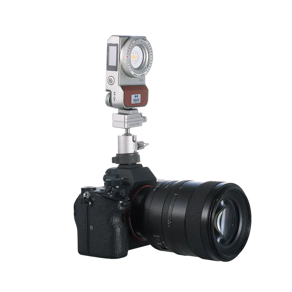 Harlowe Iris 5W Spectra LED light mounted on ball head adapter on professional camera with telephoto lens.