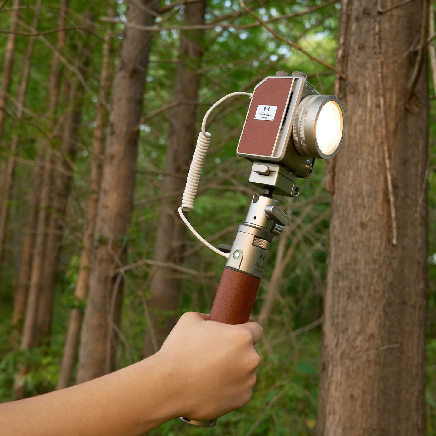 Compress New for mini II.jpg__PID:4fb587b3-a0ba-44d0-8993-2d471ac2e608