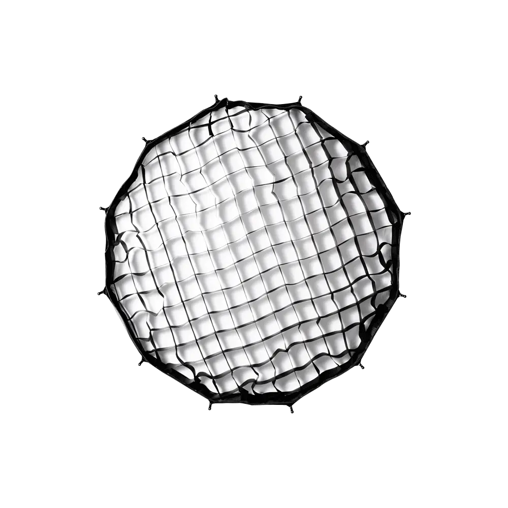 Harlowe Deep Softbox Lighting 30in with black grid modifier for controlled light diffusion.