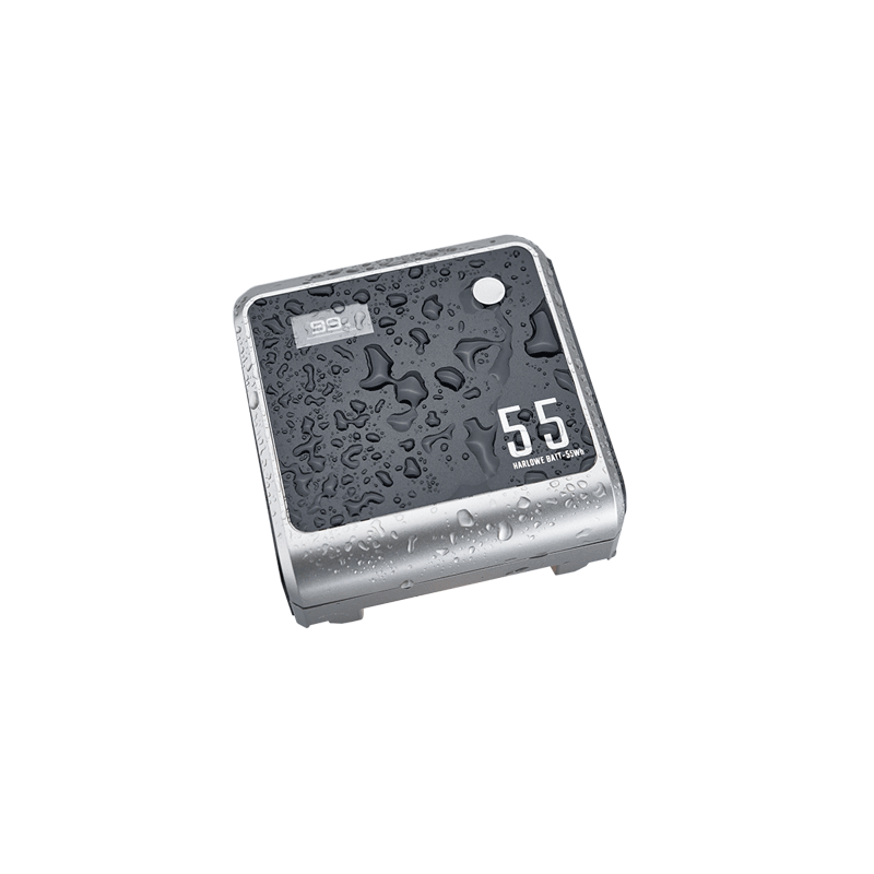 Harlowe Max Air 40W Portable LED Light Kit for Photography, Videography & Outdoor Shooting